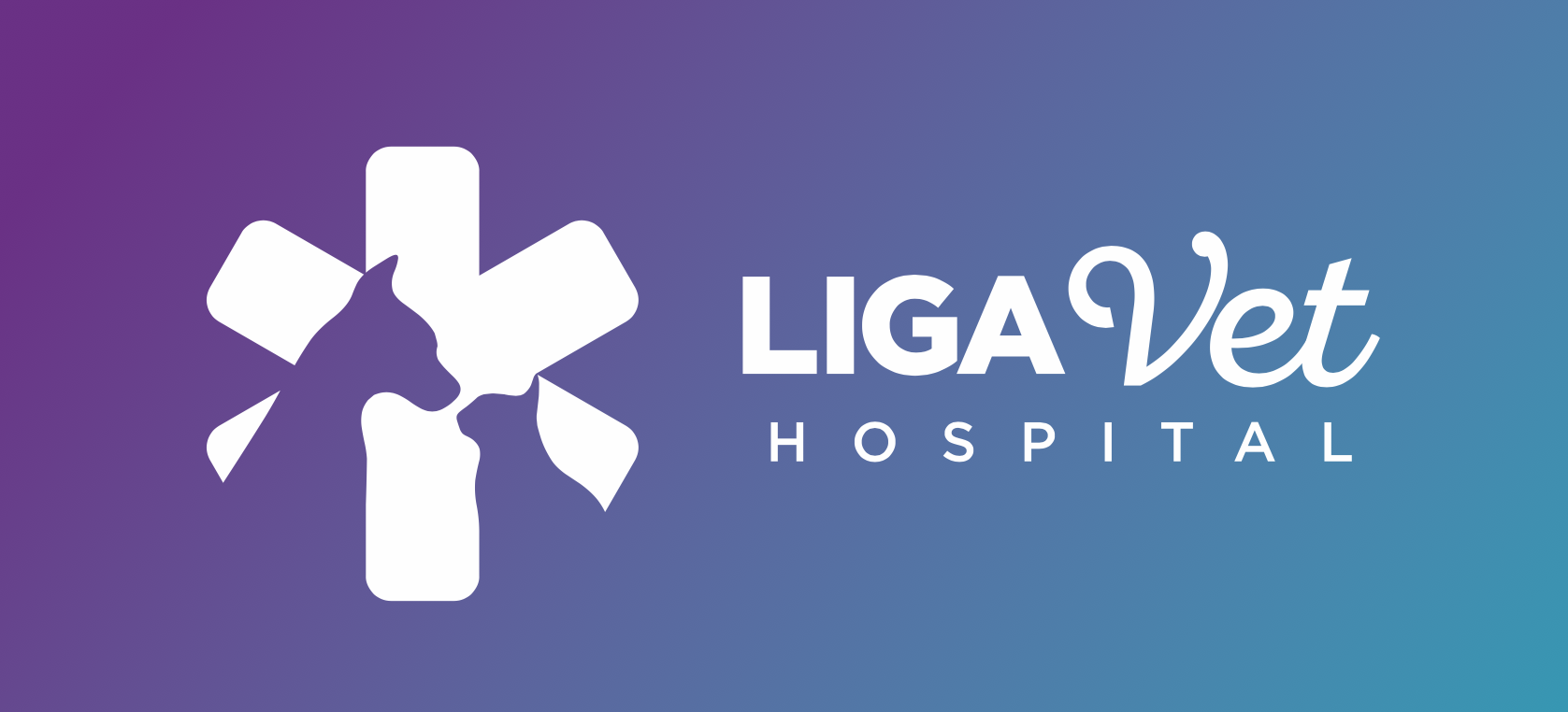 Logo Hospital LigaVet